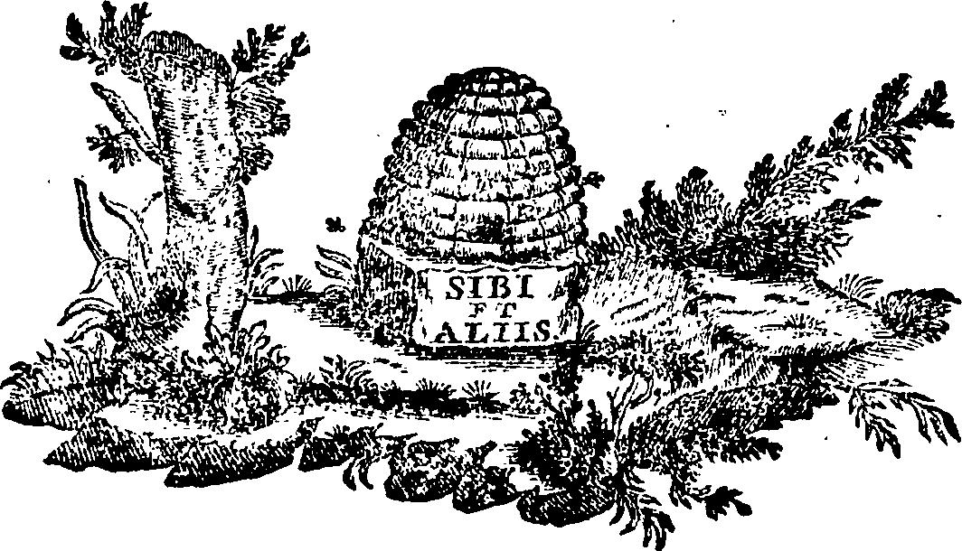 088/088650010301920_0.png