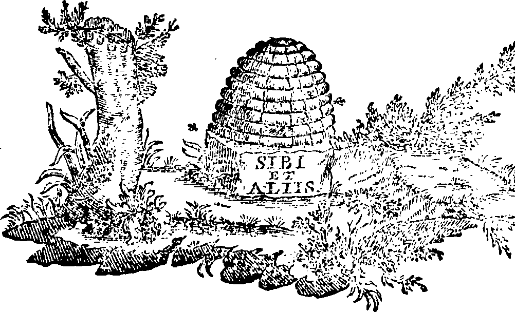 088/088650010303830_0.png