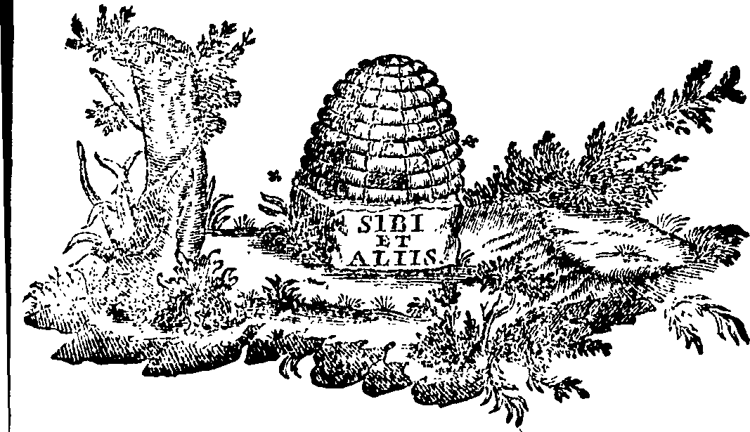 088/088650010305740_0.png