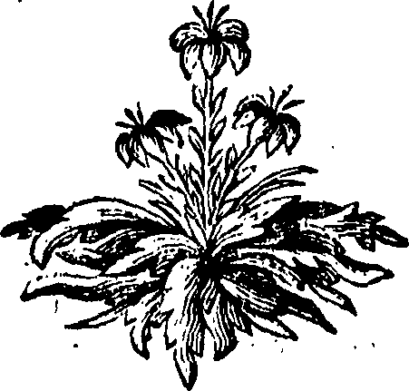 088/088650010306760_0.png