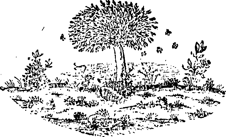 088/088650010307590_0.png