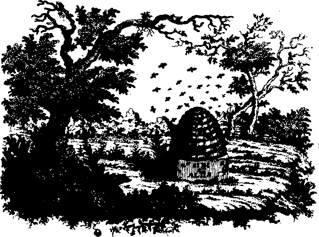 088/088660010400010_0.png