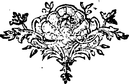 088/088660010400850_0.png