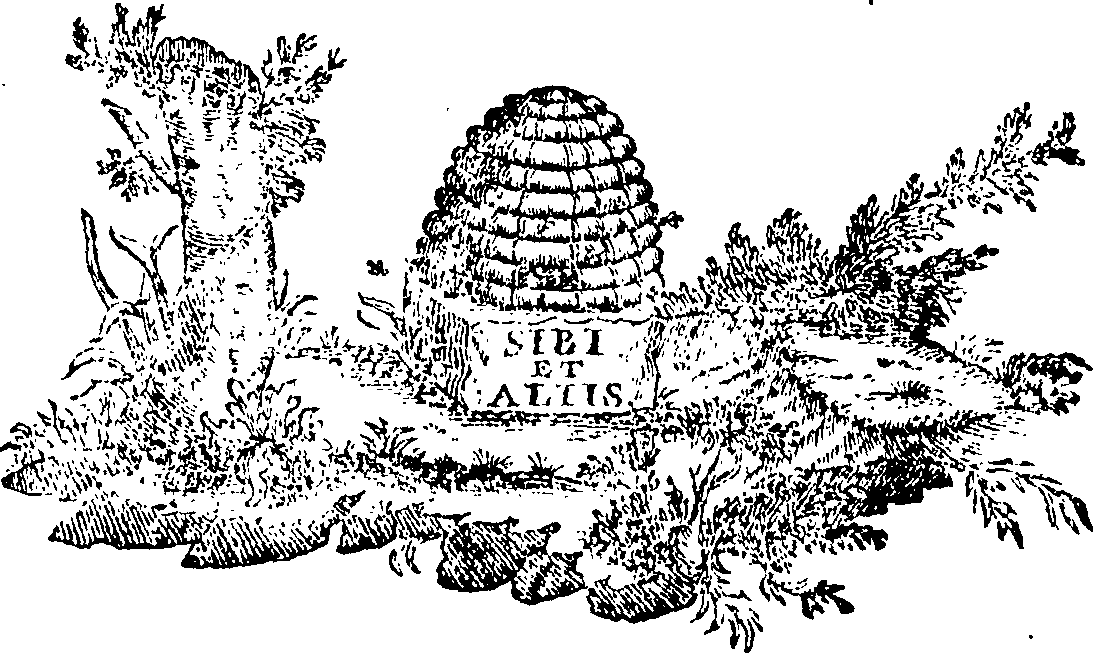 088/088660010401920_0.png