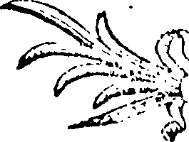 088/088660010402040_0.png