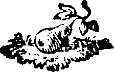088/088660010404320_0.png
