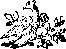 088/088660010404530_0.png