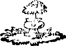 088/088660010405540_0.png