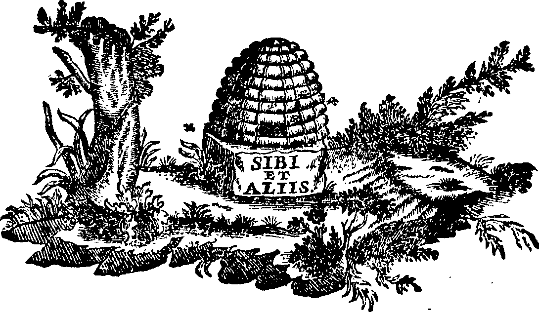 088/088660010405740_0.png