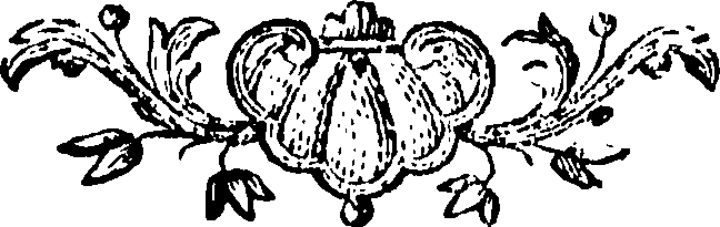 088/088660010406260_0.png