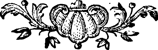 088/088660010407510_0.png