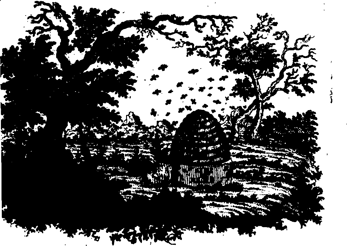 088/088660010500010_0.png