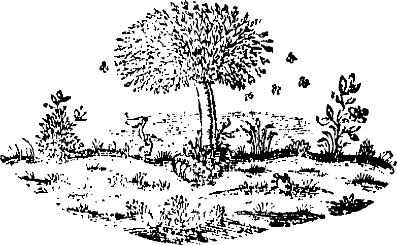 088/088660010501900_0.png