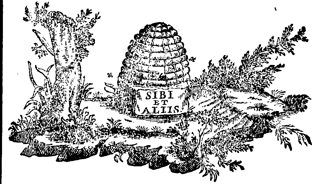 088/088660010501920_0.png