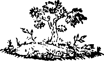 088/088660010502320_0.png
