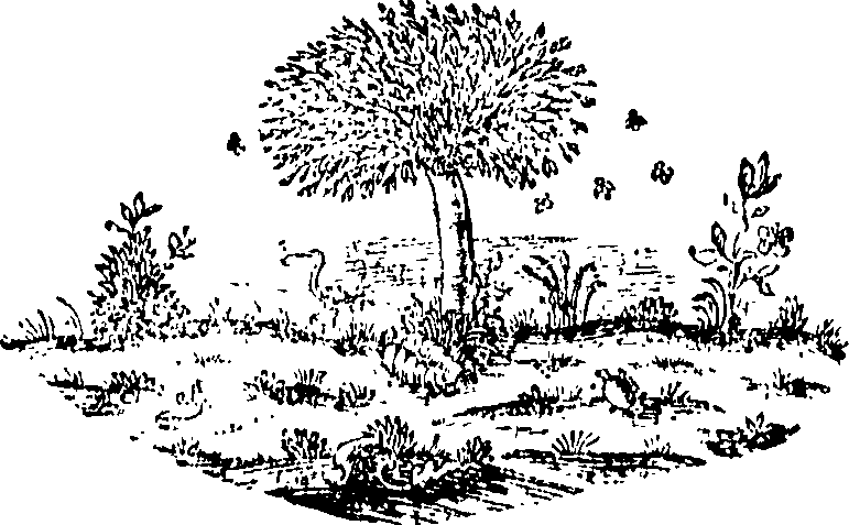 088/088660010502600_0.png