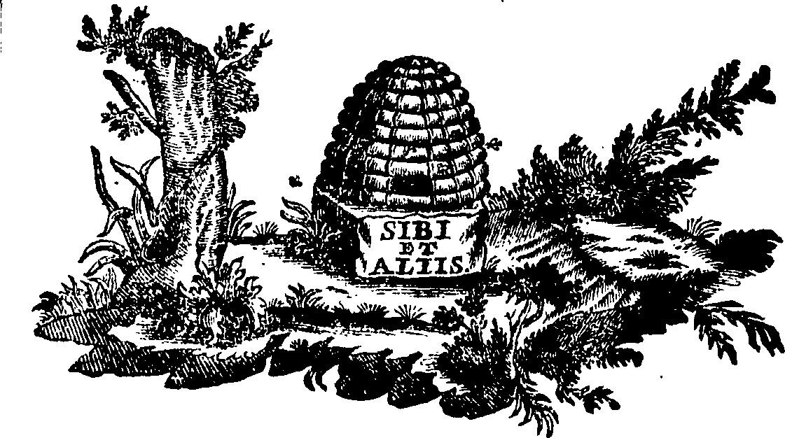 088/088660010505740_0.png
