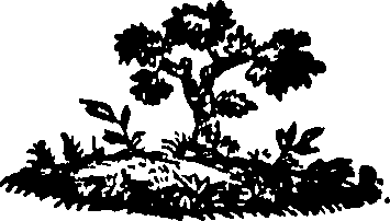 088/088660010506010_0.png