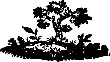 088/088660010506210_0.png