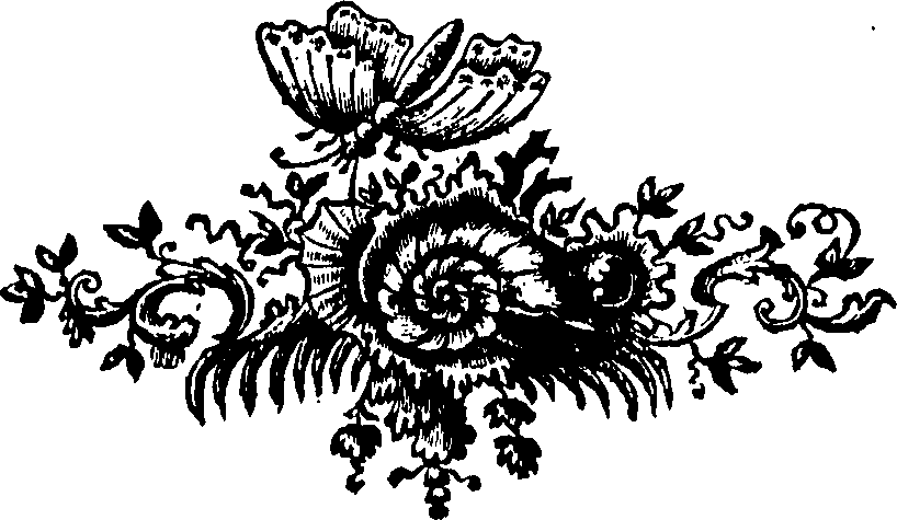 088/088660010506530_0.png