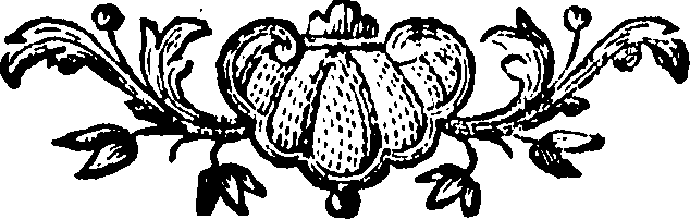 088/088660010506670_0.png