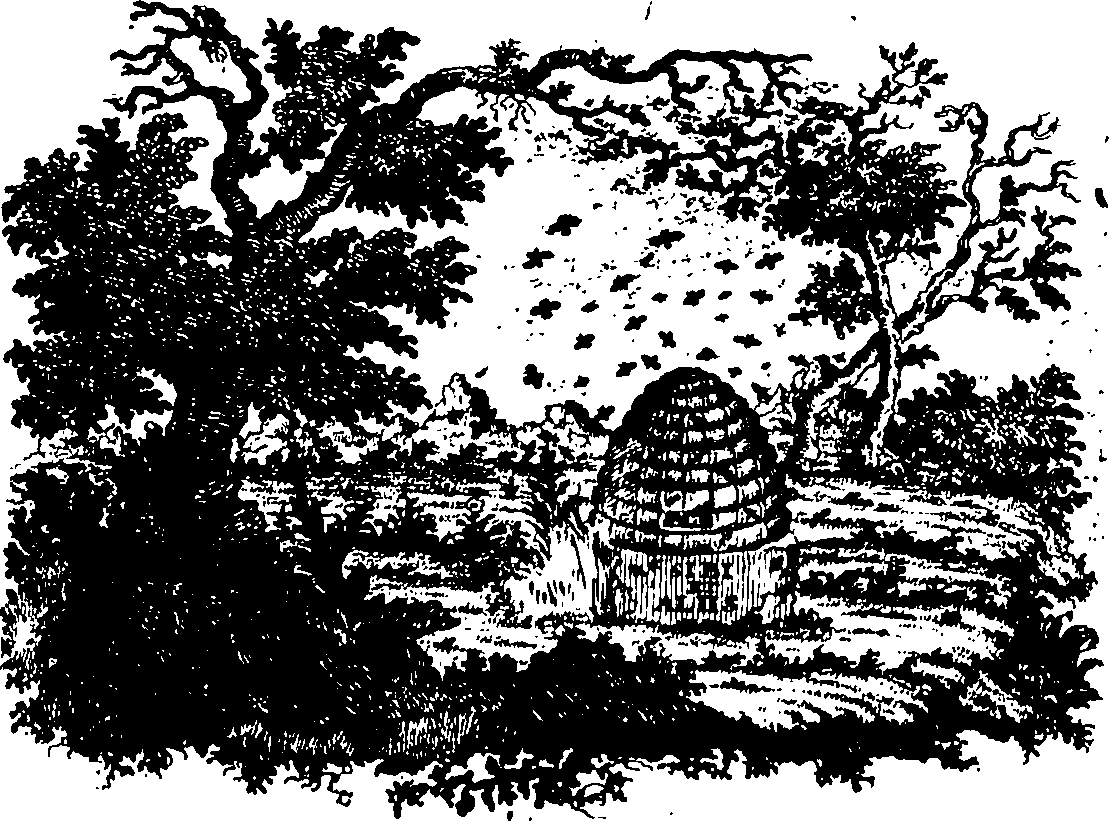 088/088660010600010_0.png