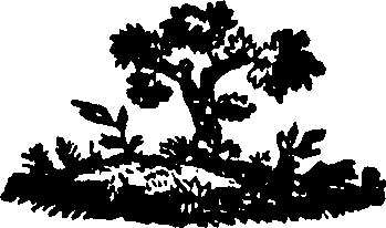 088/088660010604720_0.png