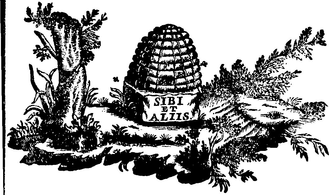 088/088660010605760_0.png