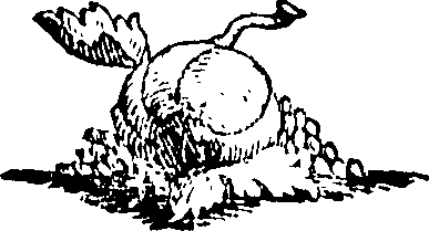 088/088660010606930_0.png