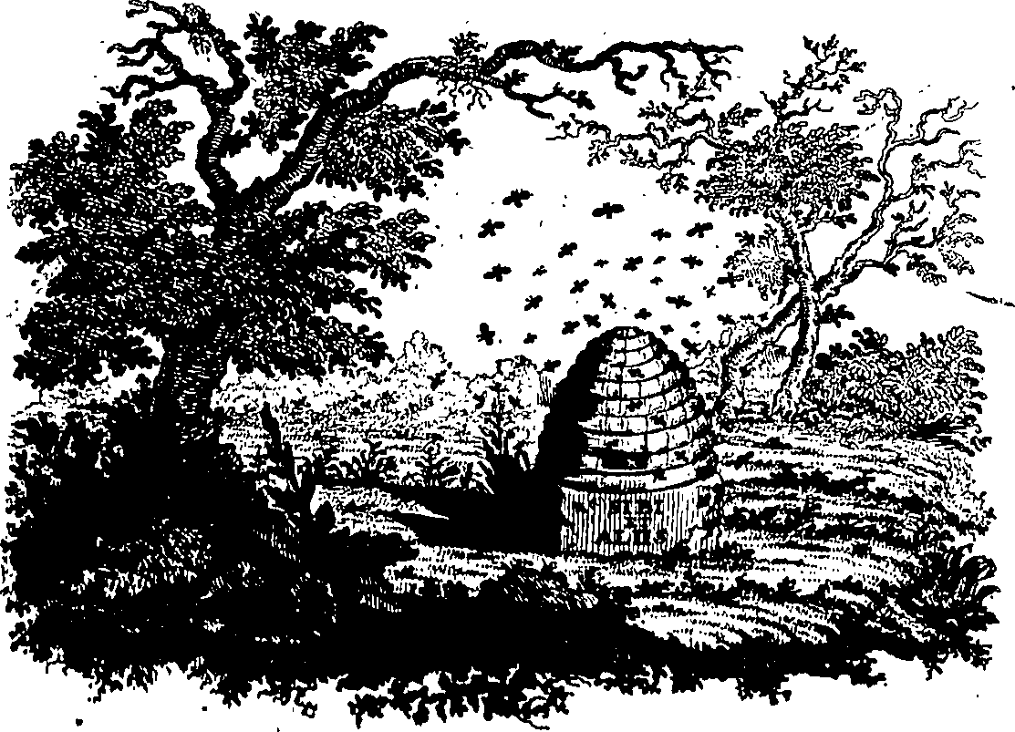 088/088670010700010_0.png