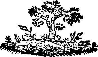 088/088670010702980_0.png