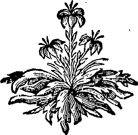088/088670010703020_0.png