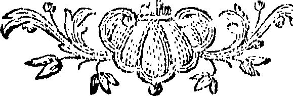 088/088670010703440_0.png