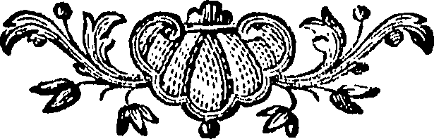 088/088670010705160_0.png
