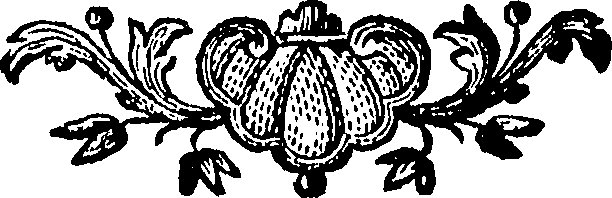 088/088670010706020_0.png