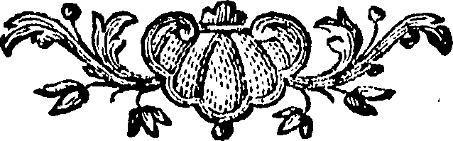 088/088670010800480_0.png