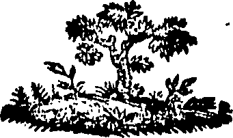 088/088670010800740_0.png
