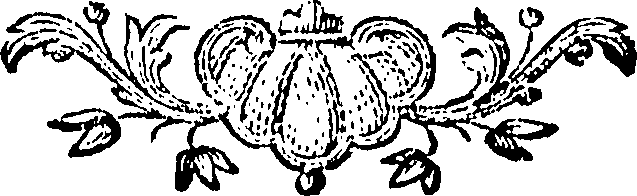 088/088670010801720_0.png