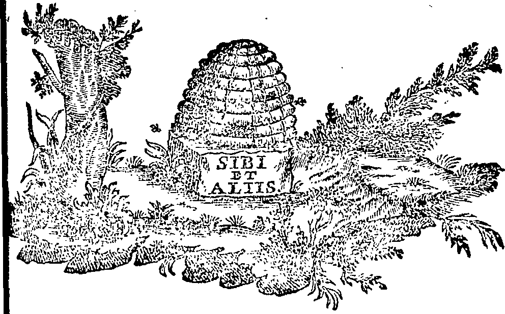 088/088670010803850_0.png