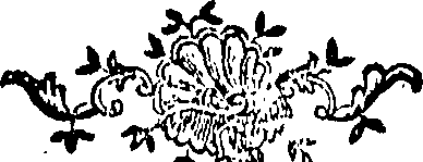 088/088670010803990_0.png