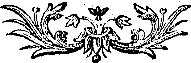 088/088670010805750_0.png