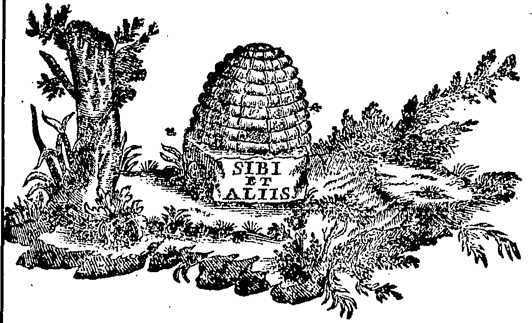 088/088670010805760_0.png