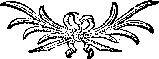 088/088670010900250_0.png