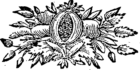 088/088670010901900_0.png