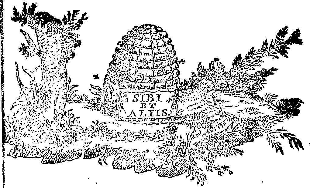 088/088670010901920_0.png