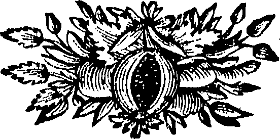 088/088670010902260_0.png