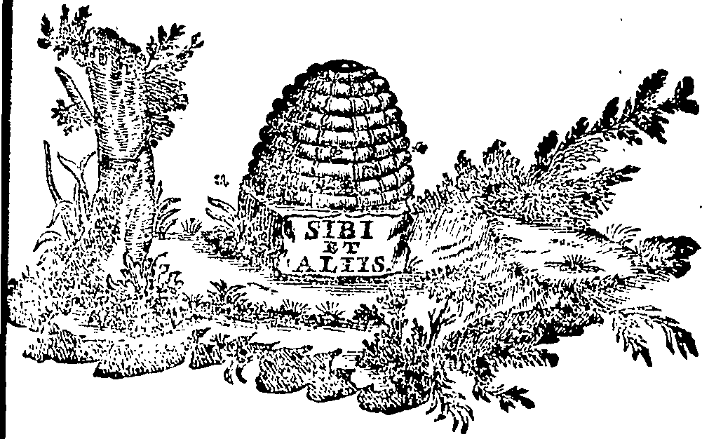 088/088670010903670_0.png