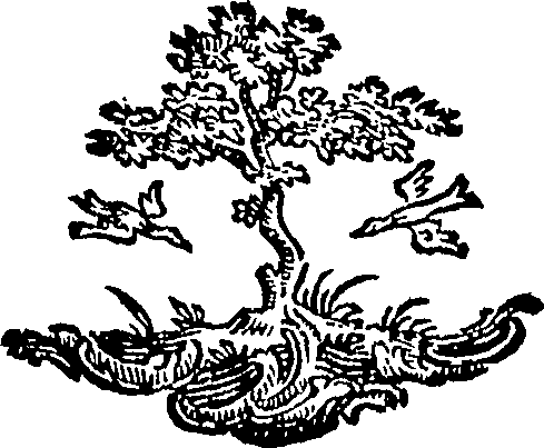 088/088670010905260_0.png
