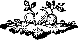 088/088680011000760_0.png
