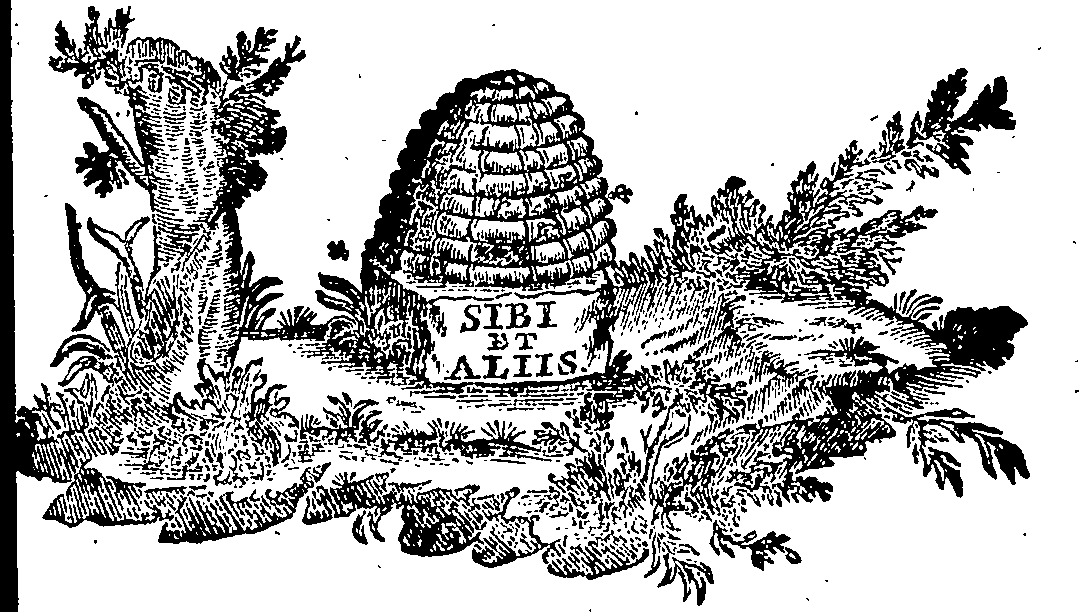 088/088680011005740_0.png